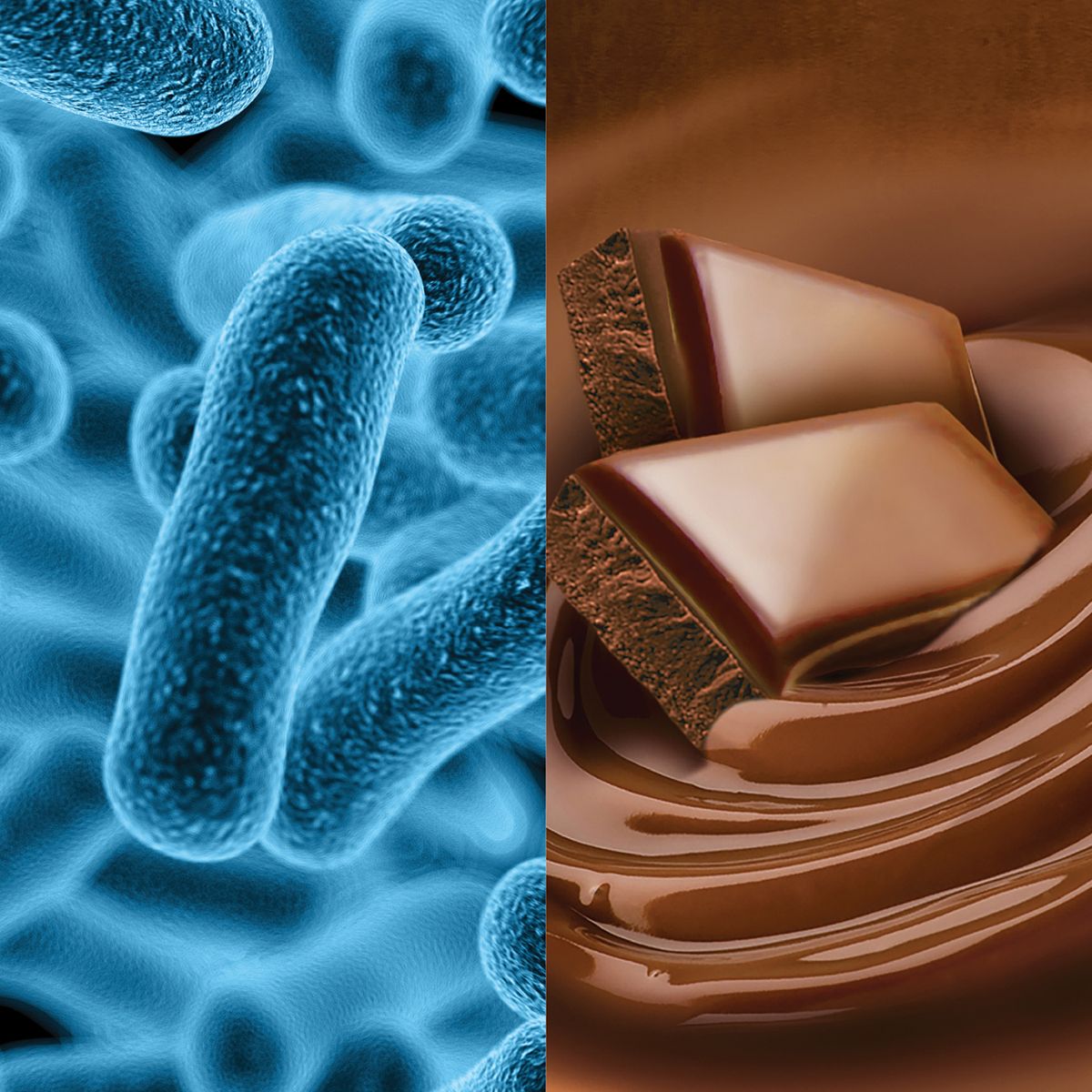 Inovativna Chocowise<sup>®</sup> tehnologija